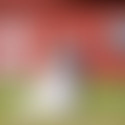 KRAMER WEDDING - SEPTEMBER 2019