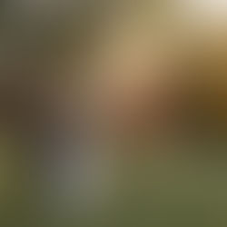 Wedding couple walking with foliage behind them