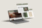Web Mockup.jpg