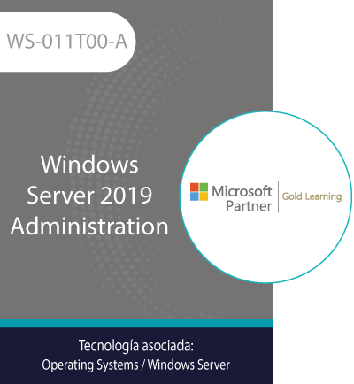 what is windows ws what is windows ws