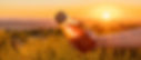 rooibos-header.jpg