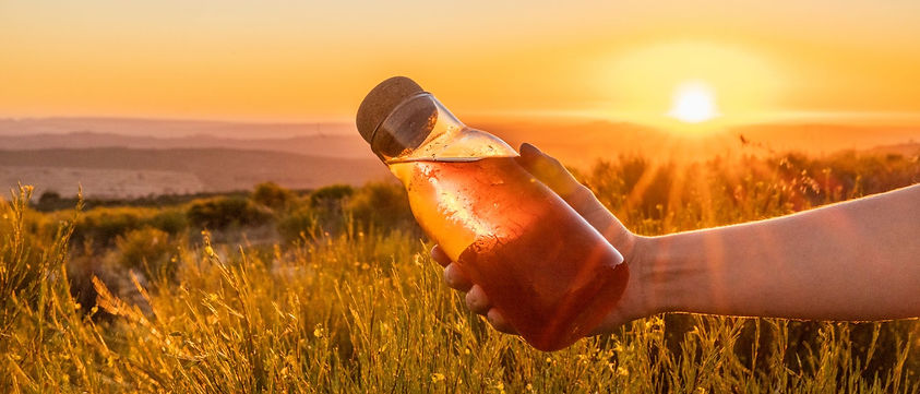 rooibos-header.jpg