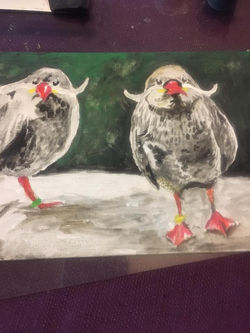 18486425_10154428873902751_6704686544169150190_n