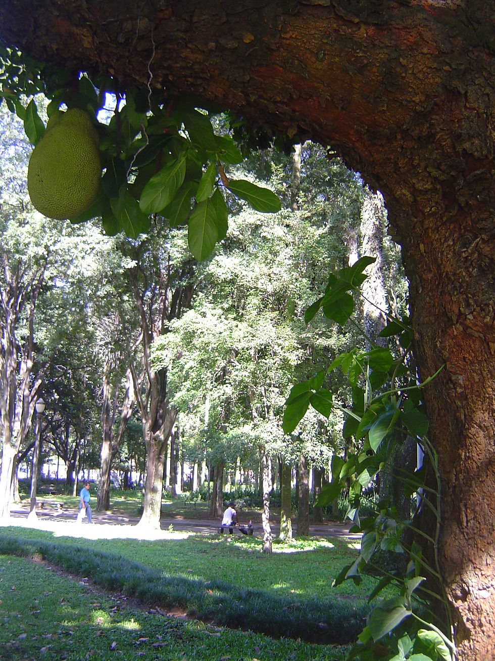 Parque da Luz