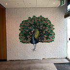 Custom direct-to-wall mural printing and wall graphics in a Greater Boston commercial interior, featuring a vibrant, detailed peacock with its feathers fanned out, printed directly on a white brick entryway wall.