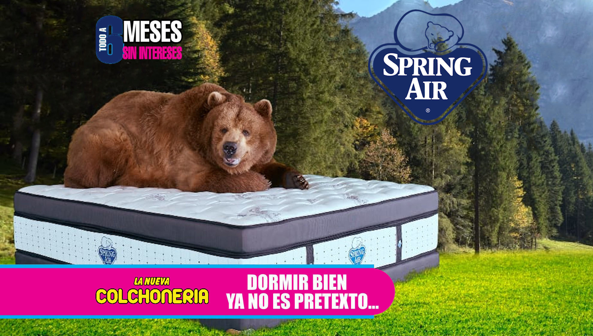 Inicio LA NUEVA COLCHONERIA