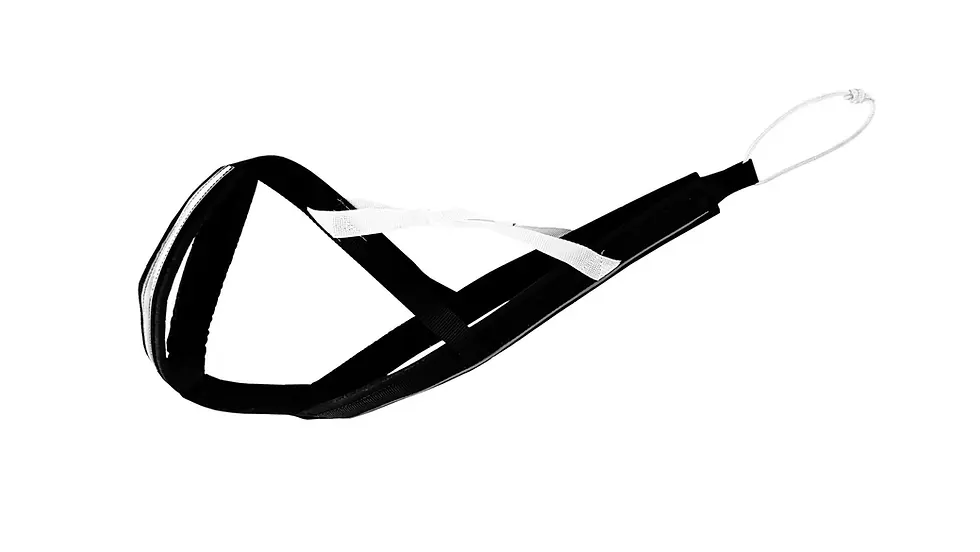 ELITE X-BACK DOG PULLING HARNESS