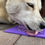 Thumbnail: E-Mat Lick Mat