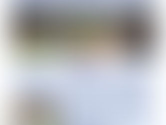 Monthly Report of Emmanuel Foundation June 2025