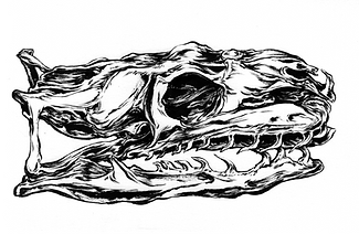Skull-Boa-V1.png