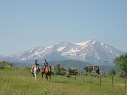 98f8fb04-67d0-4018-bff4-3cb01bbf12b3.c10