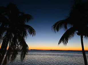 02016ec6-5b79-43f0-9b02-2c06c01b51e2.web