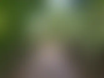 HELP! I want to get to Nashville, but I have NO clue what area fits my lifestyle!? 