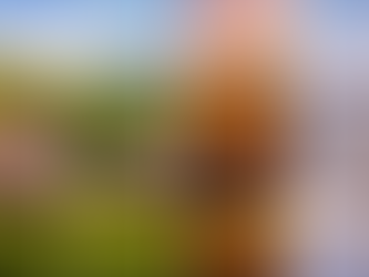 January Home Maintenance Tips for Tennessee Homeowners