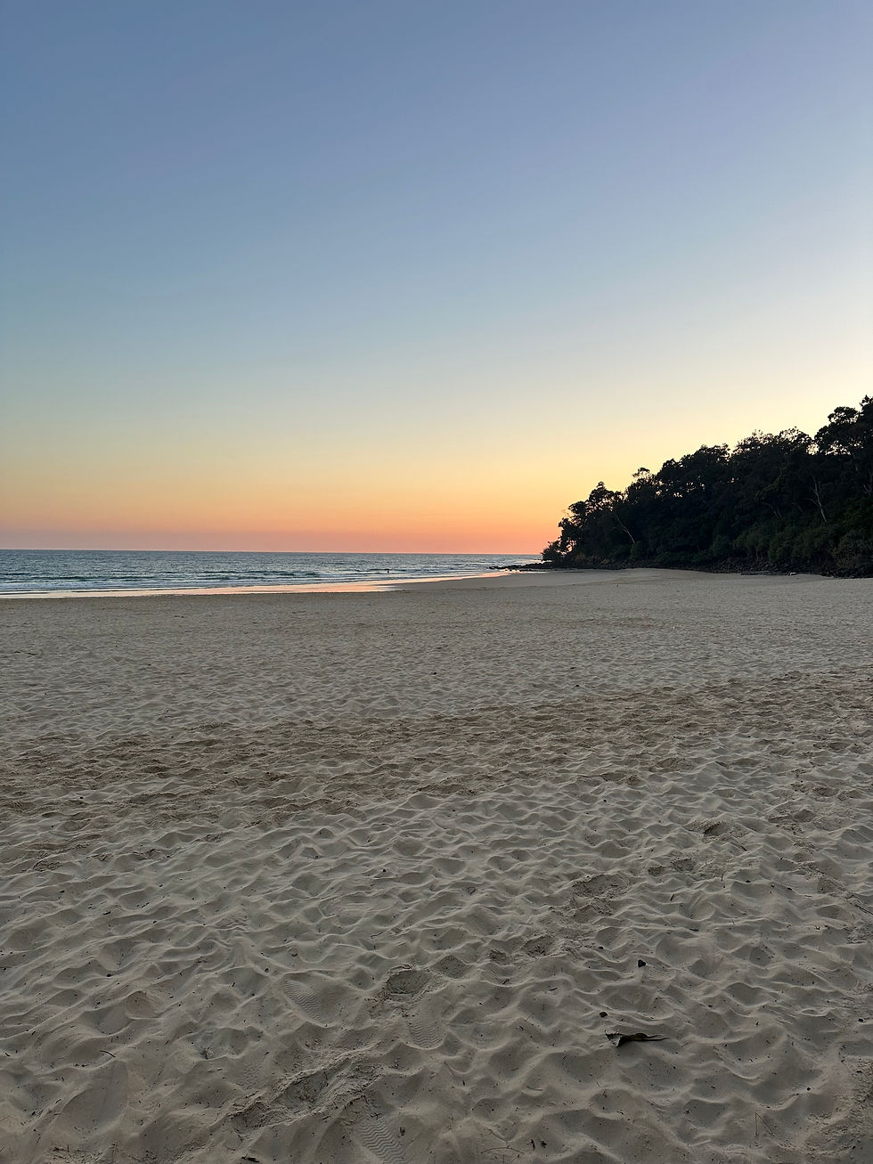 Leerer Sandstrand bei Sonnenaufgang, ruhiges Meer, Himmel in Blau-Orange, dunkle Küstenbäume rechts.