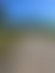 Weekly News Number 14