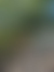 Jeden Tag ein bisschen