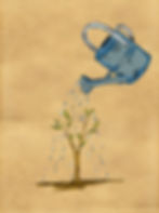 watering-plant-water-color-paper.jpg