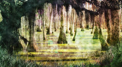 The Beast & The Bayou