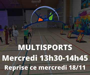 MULTISPORTS Mercredi 13h30-14h45 (1).png