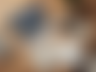 Turn Your Spreadsheets into Insights with Rows AI and Claude