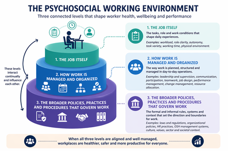 The psychosocial working environment: Global developments and pathways for action.
