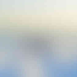 Au creux d'un arbre au Costa Rica