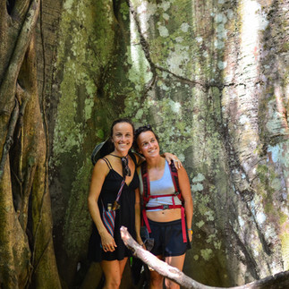 Au creux d'un arbre au Costa Rica