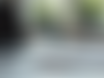 The Bright Future of Learning WordPress: Benefits and Opportunities in Web Design