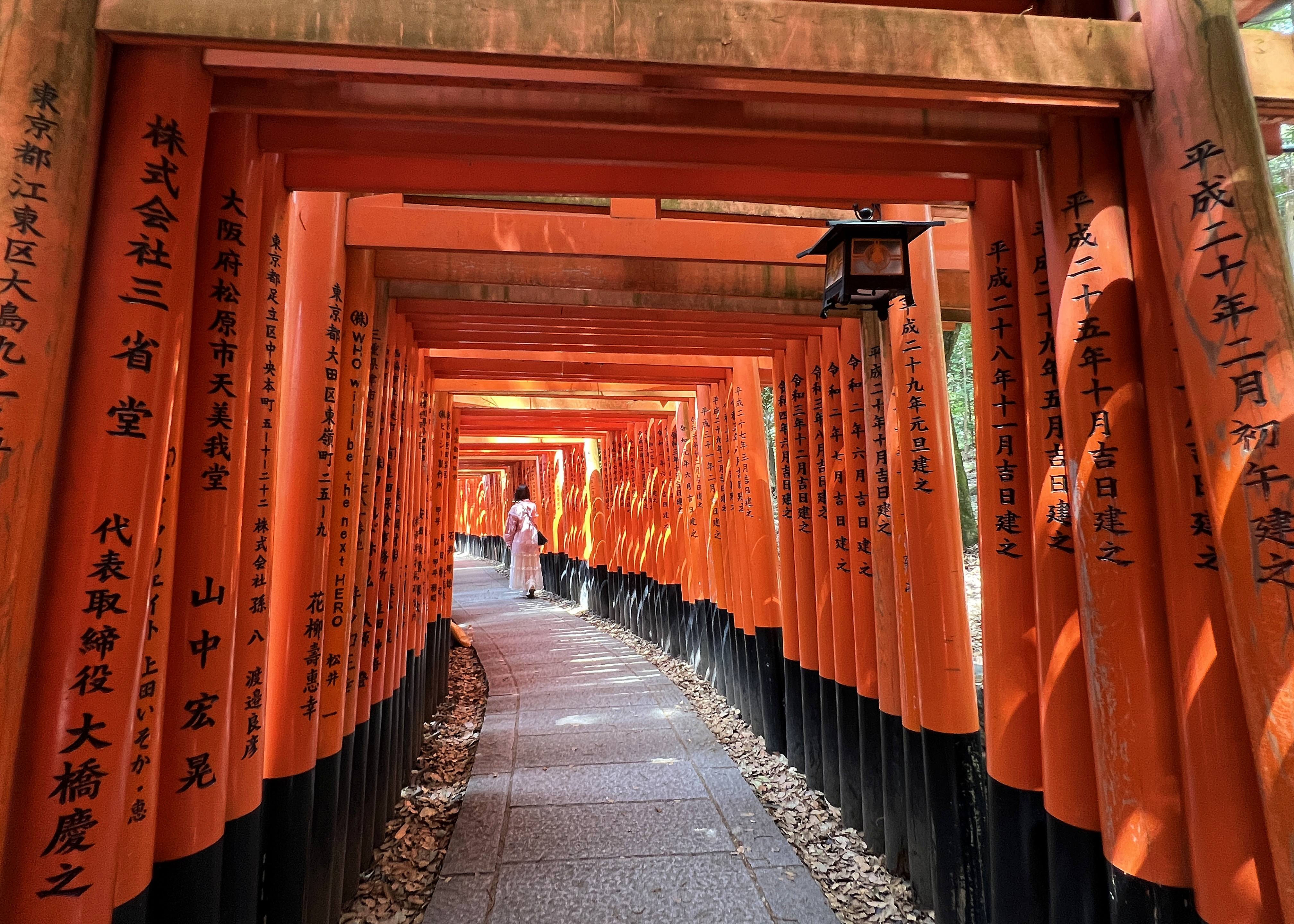 【京都伏見稻荷大社攻略】必拍3大景點＋周邊散策推薦5選