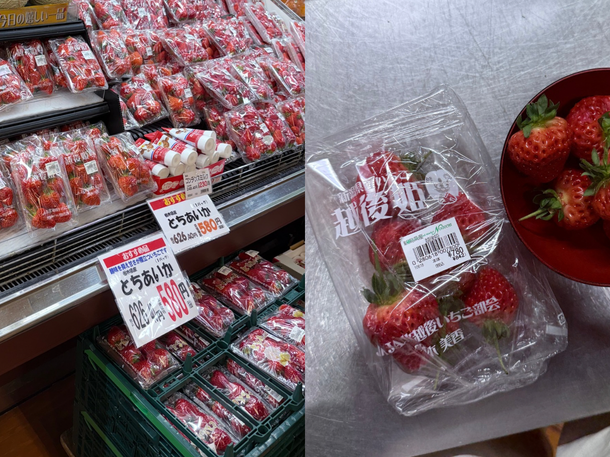 越後湯澤的越後姬草莓