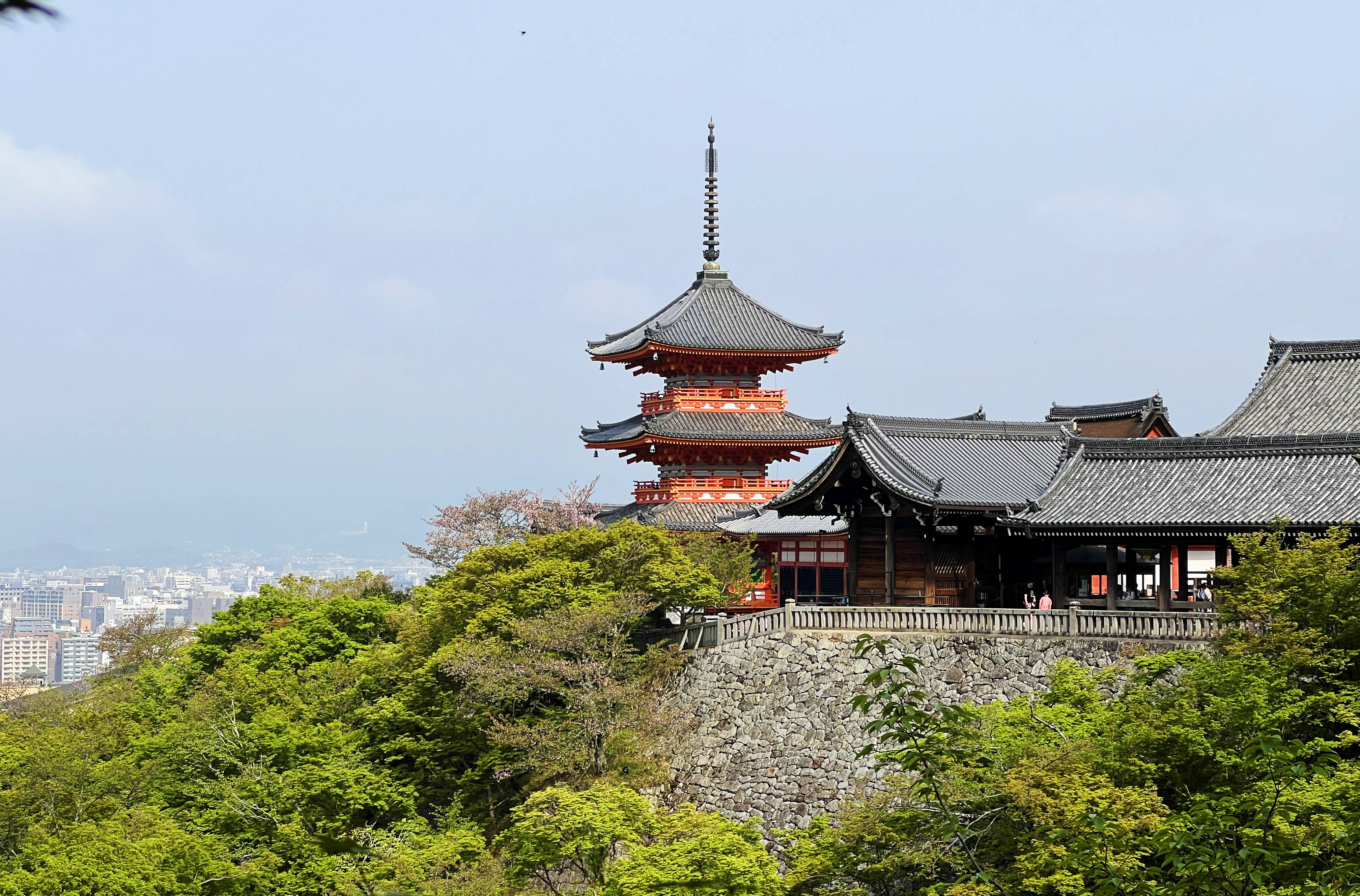 清水寺 三重塔 與樹
