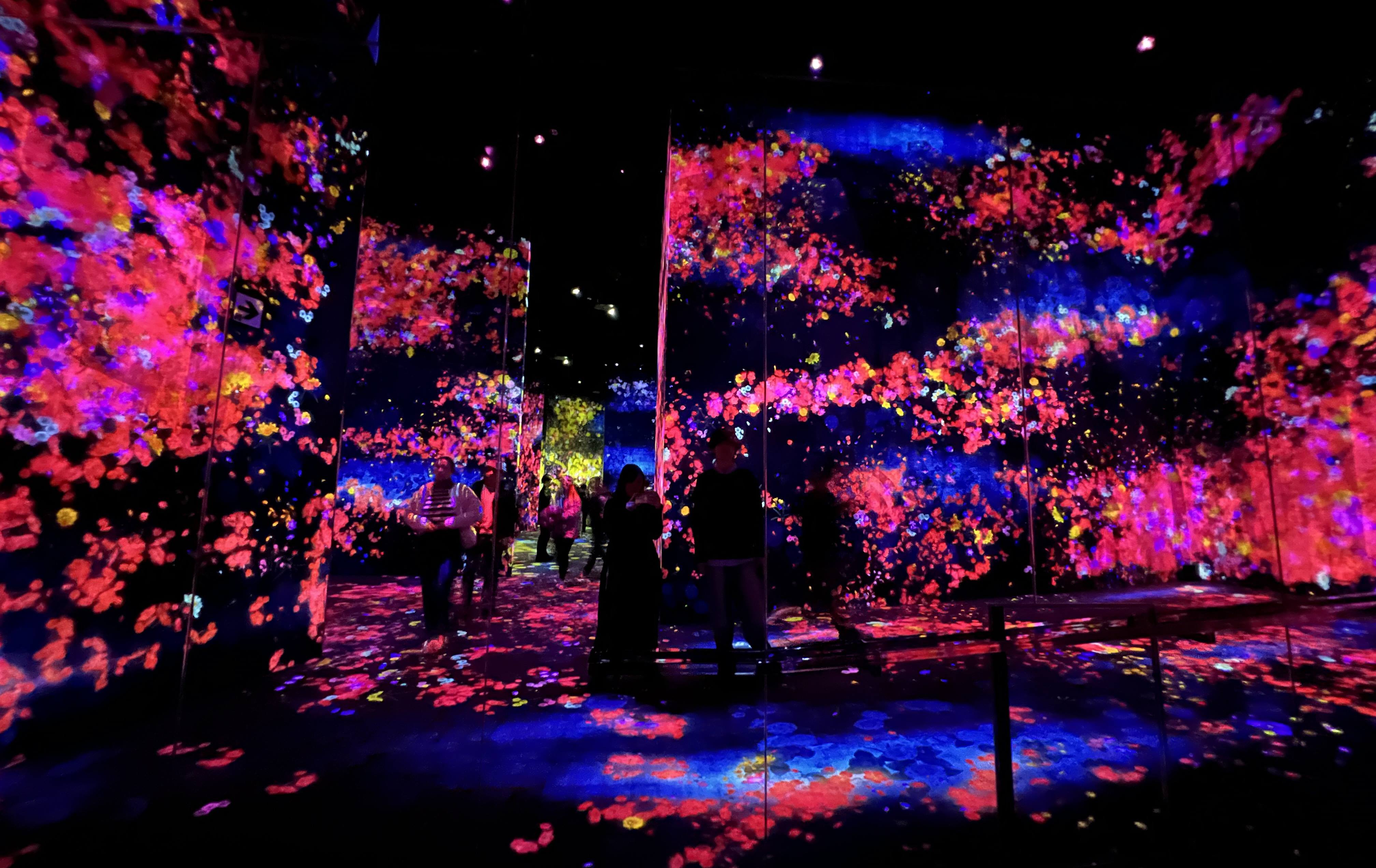 teamLab