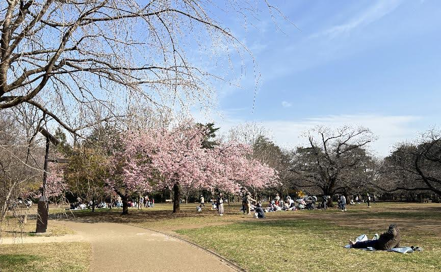 井之頭恩賜公園