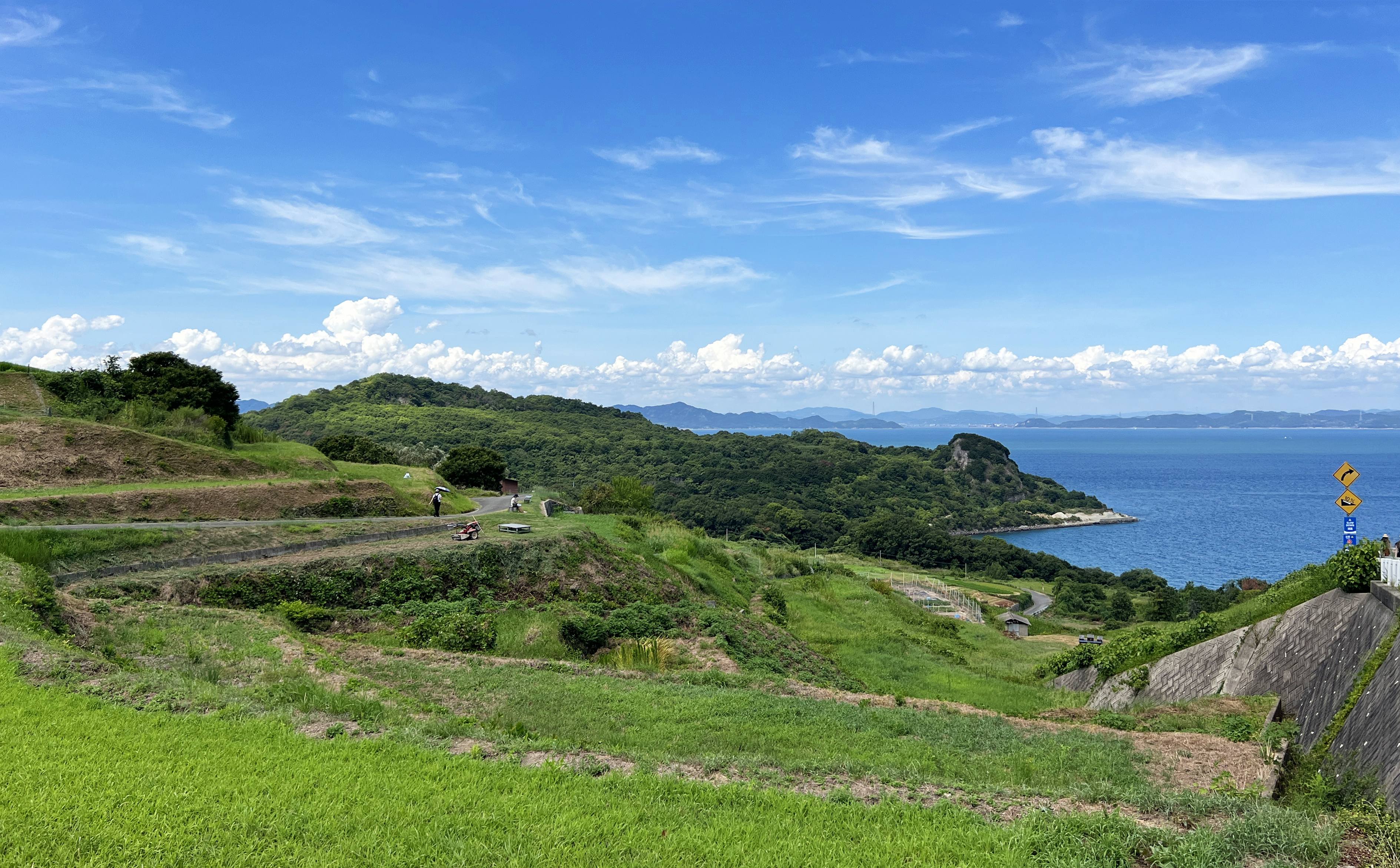 綠色草原和海景