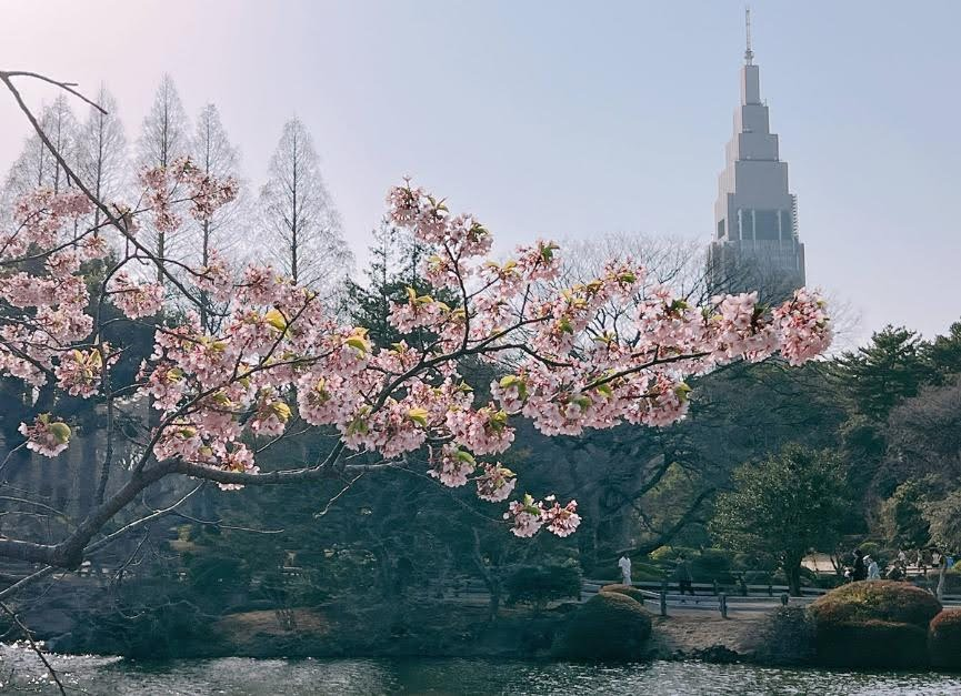 新宿御苑公園