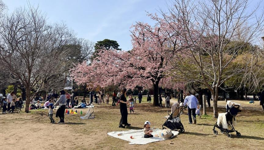 【2026東京賞櫻攻略（上）】6大必去櫻花公園+熱鬧系賞櫻散策與美食地圖