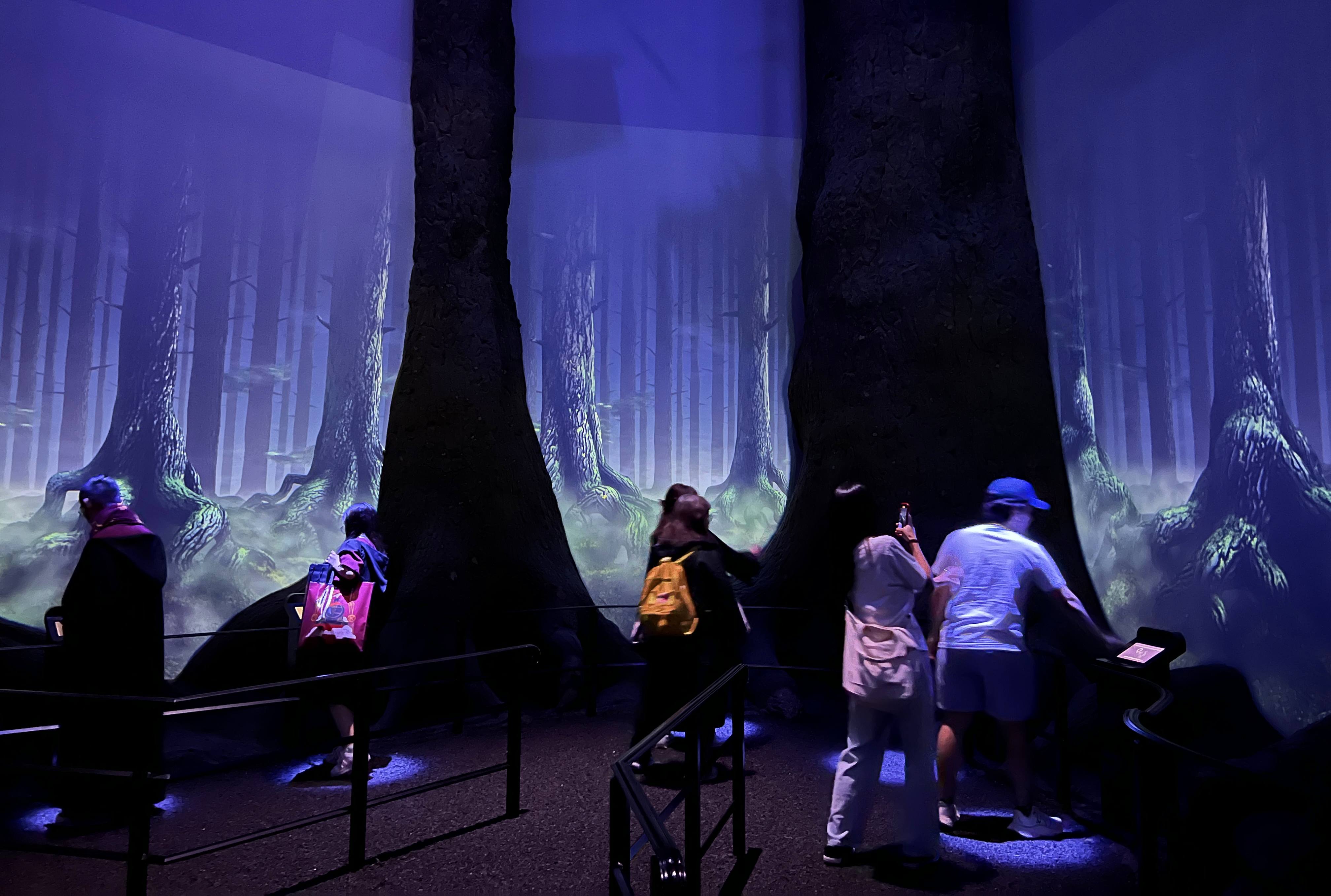 禁忌森林施展護法