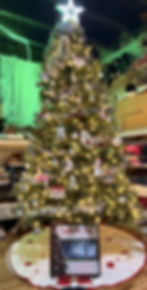 This is our tree for Christmas 2025! Are you thinking what I am? Santa's Star tree topper for 2026? 