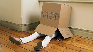 hiding in box.jpeg