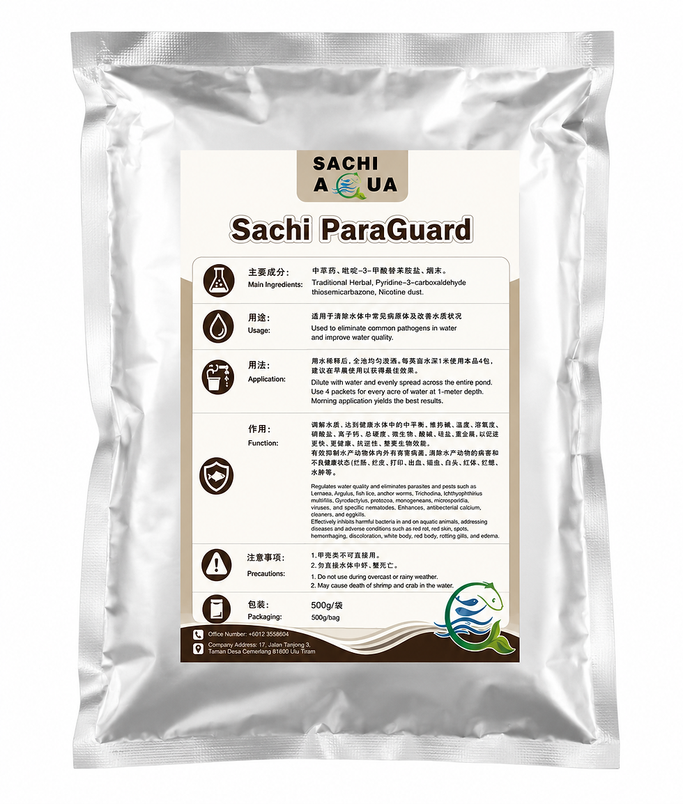 Sachi ParaGuard.png