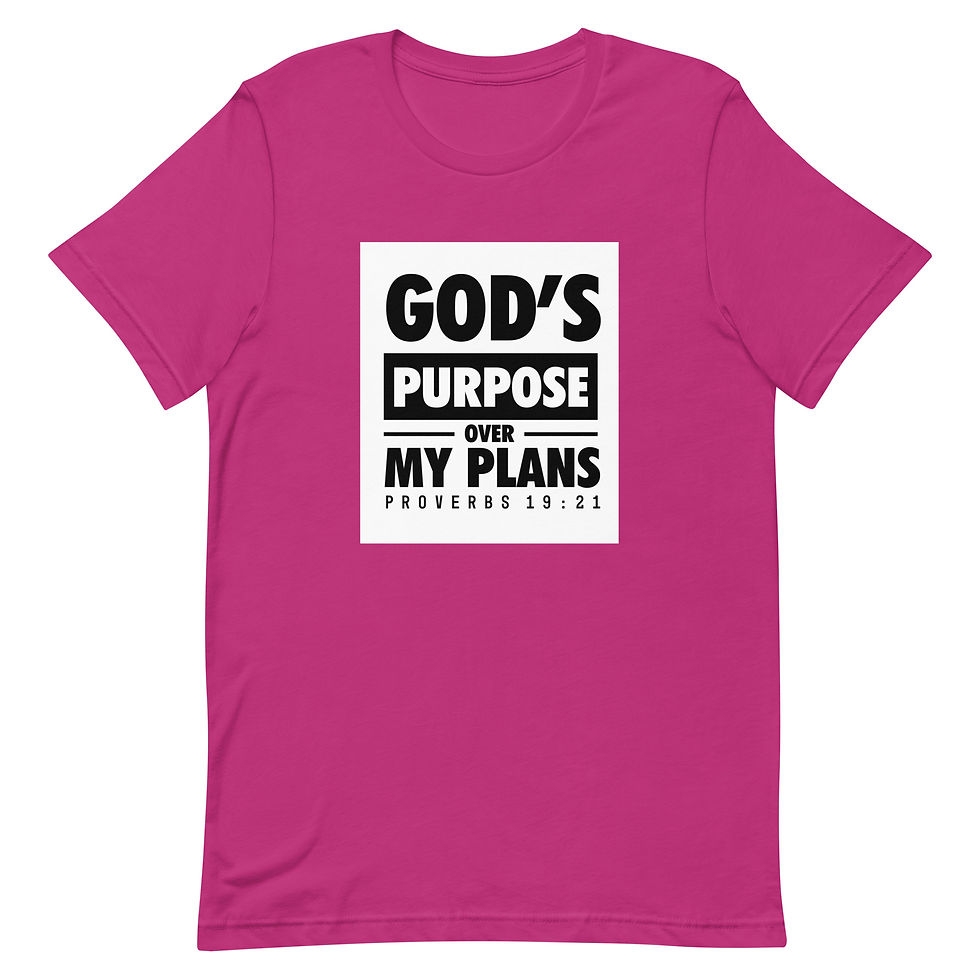 Thumbnail: God's Purpose Unisex T-shirt - various colors