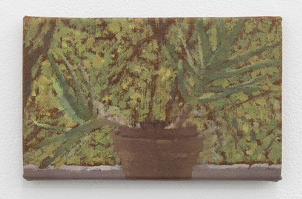 Plante I / Plant I / oil on canvas / 12 x 19 cm / 2022