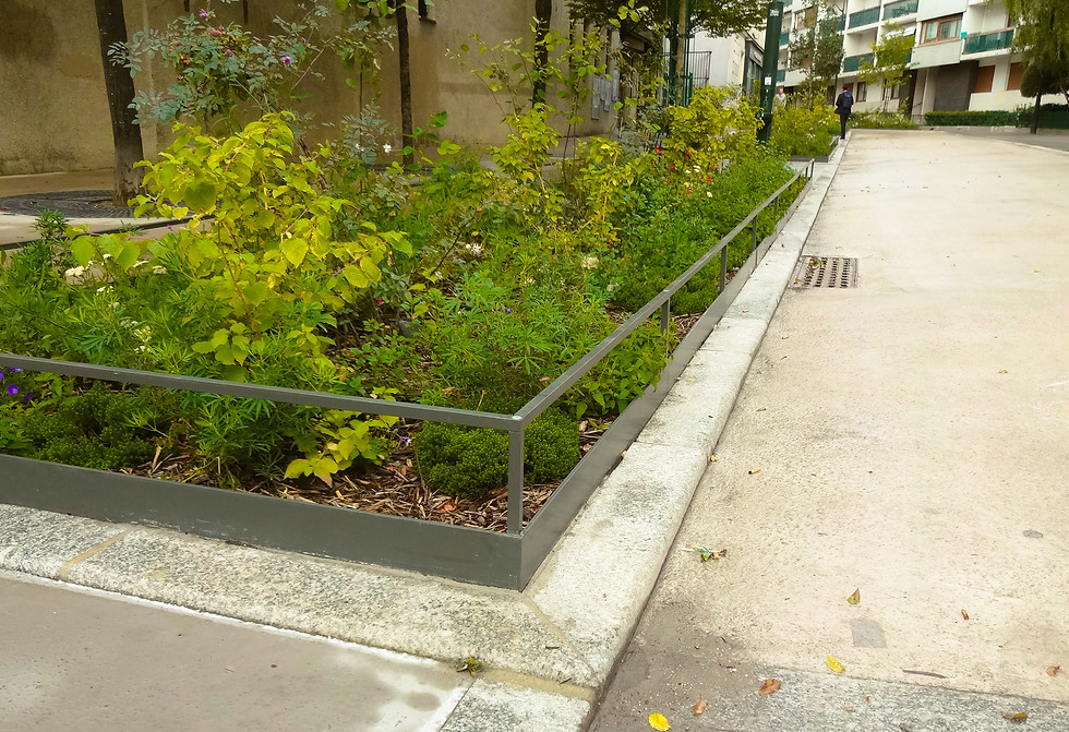 Lisse métallique basse pour aménagement immobilier