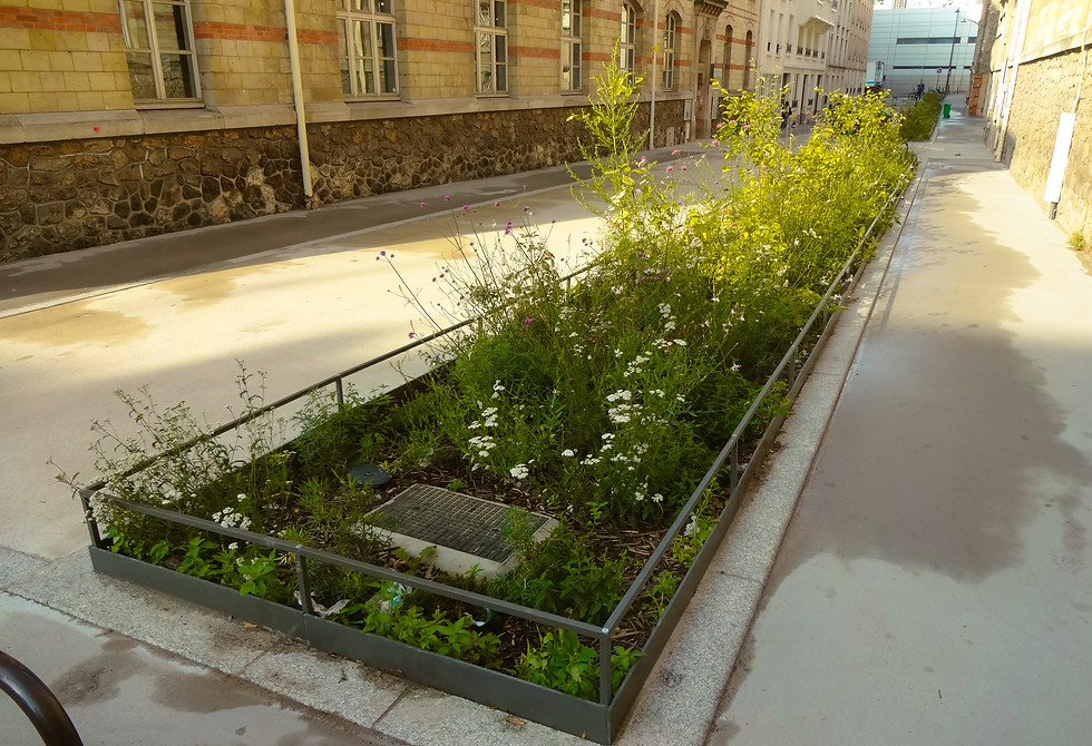 Lisse basse métallique - Amenagement de collectivité locale