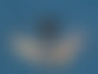 Ein Cougar der Luftwaffe testet Tauschkörper