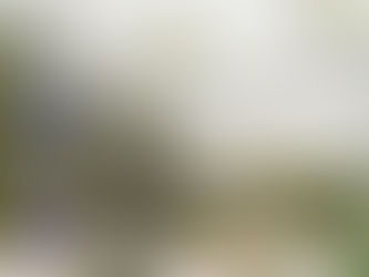 Grüne Ranken um Basler Bauten