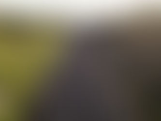 Basel-Stadt gibt «Stadtraum Solitude» zur öffentlichen Vernehmlassung frei