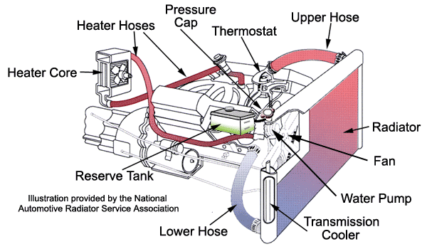 drive_belt_diagram