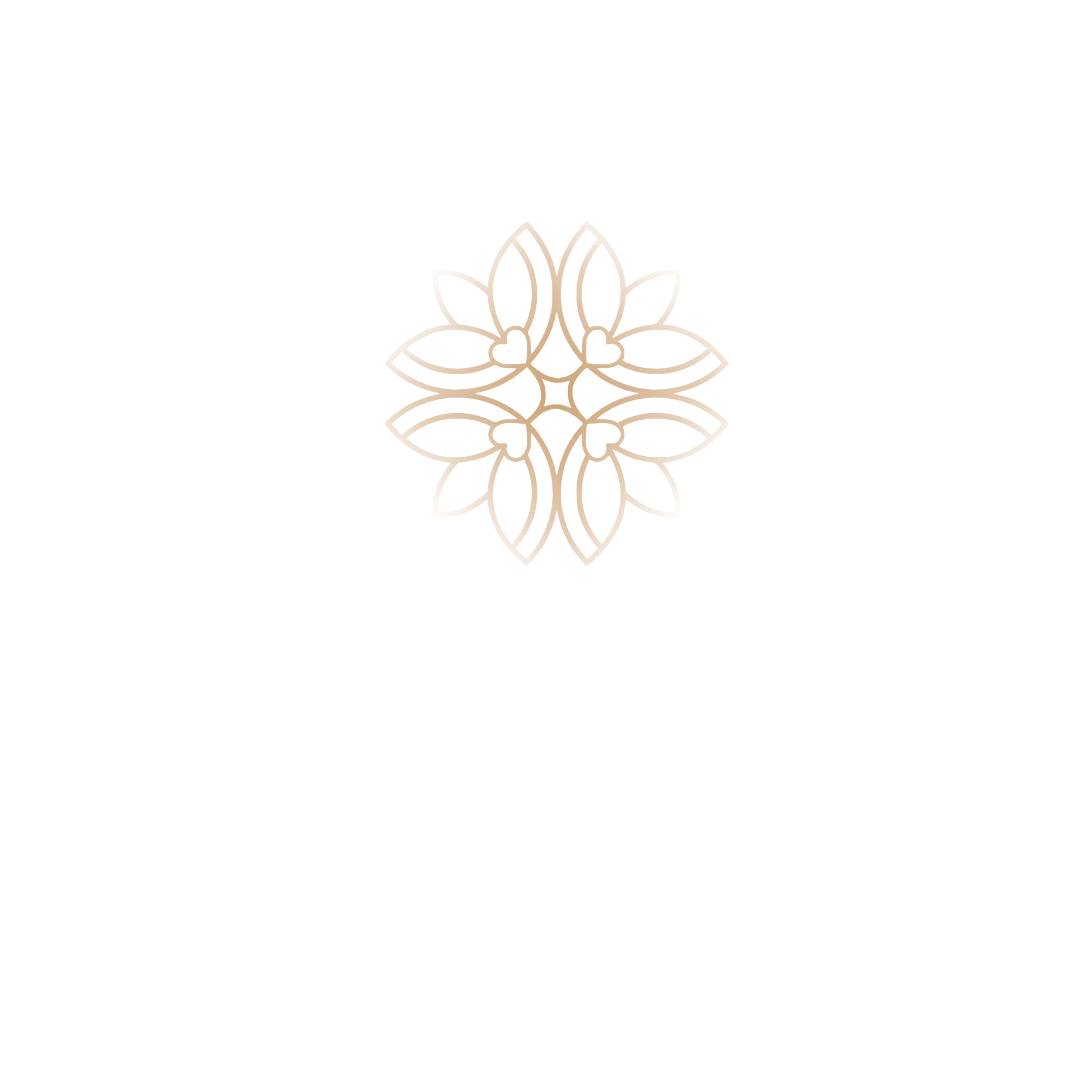 Transparent Logo